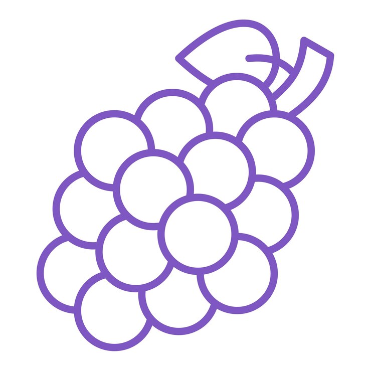 Vector grapes icon