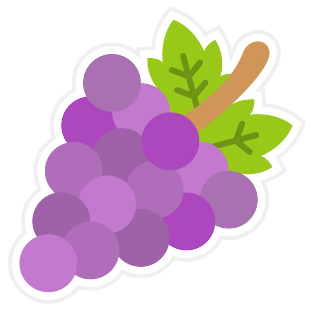 Vector grapes icon