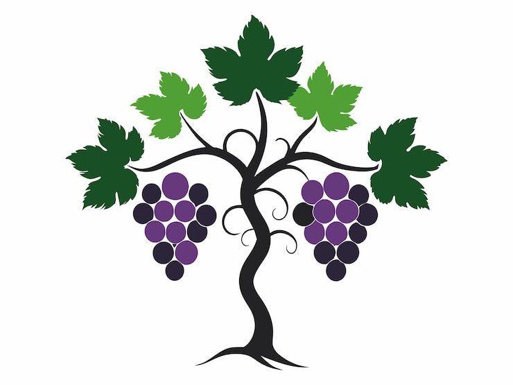 Vector grapes logo featuring grapes with leaves on a tree a