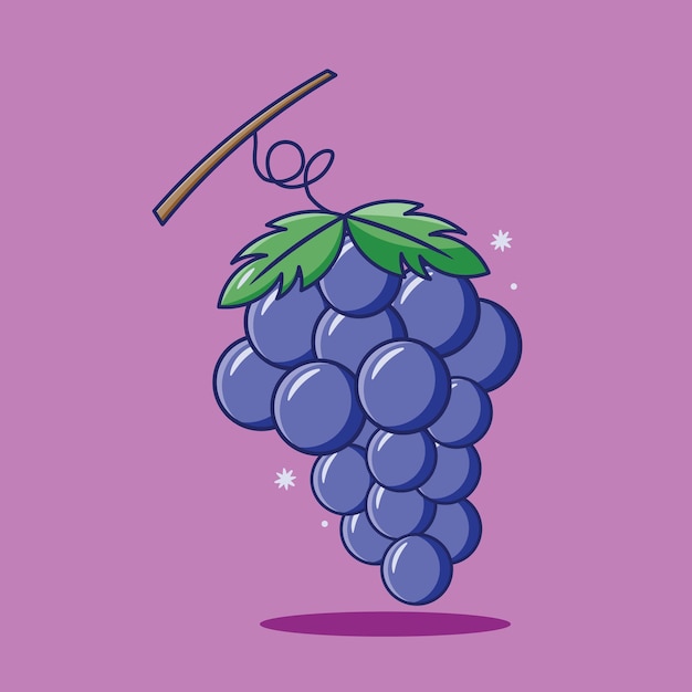 Grapes vector design