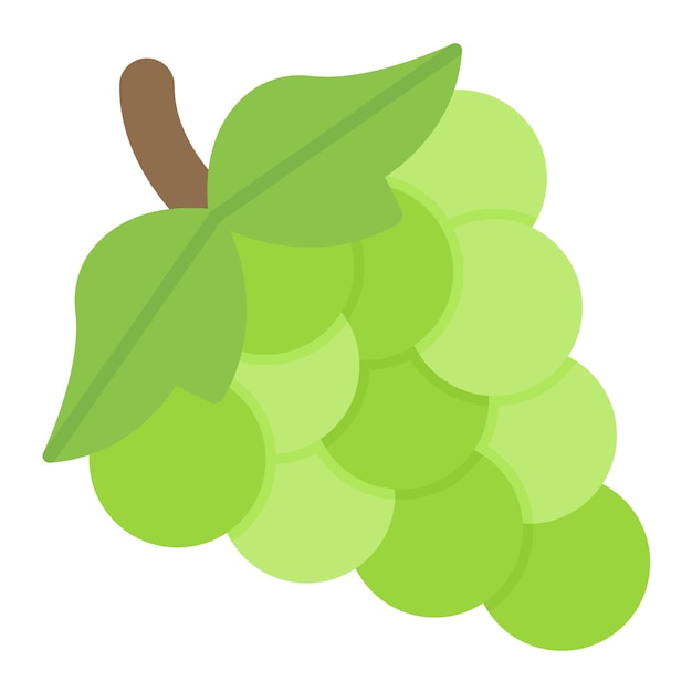 grapes vector illustration style