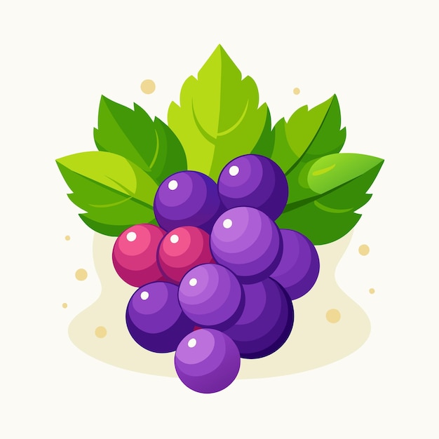 Vector grapes vector illustration