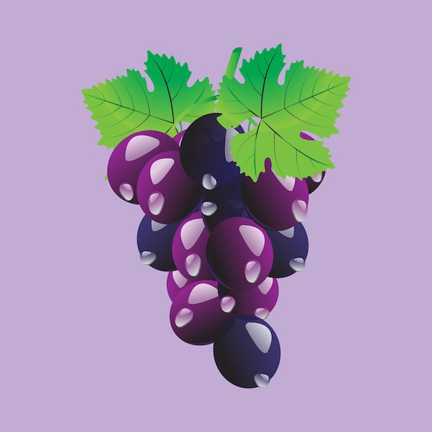 grapes vector with purple shadow and background