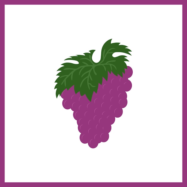 Grapes vector