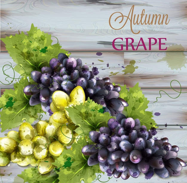 Grapes watercolor on wooden background