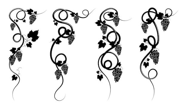 Grapevine with bunches of ripe grape berries and leaves Corner decorative elements for decoration and design of alcoholic beverages Minimalistic black and white vector isolated on white background