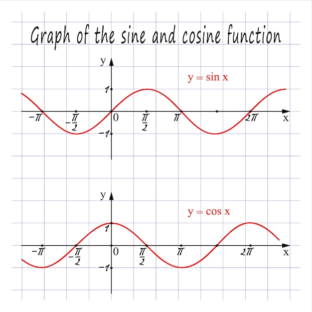 Graph of the sine and cosine function Vector illustration