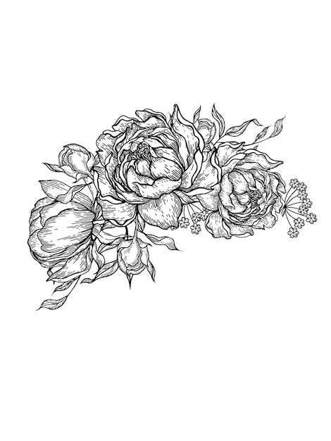 Vector graphic bouquet with peony and leaves illustration