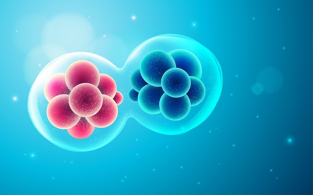 Grafico della divisione cellulare o della mitosi presentato con l'elemento biotecnologico