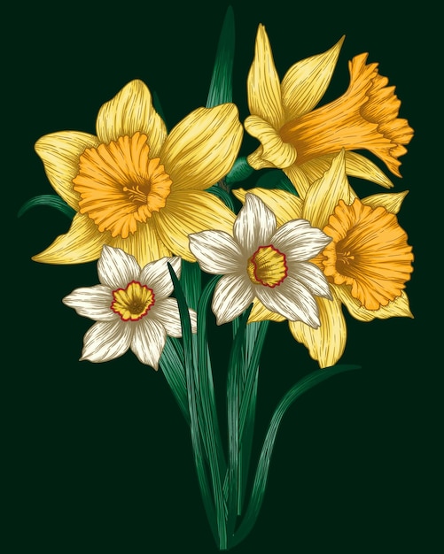 Graphic color bouquet of daffodils flowers