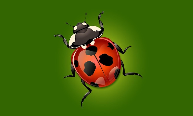 Graphic design of ladybug on green backgroundsummer