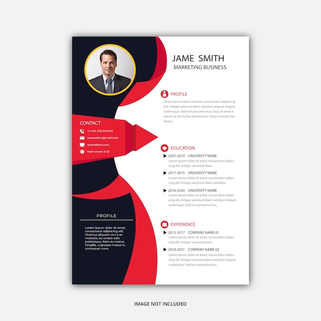 Vector graphic designer cv template