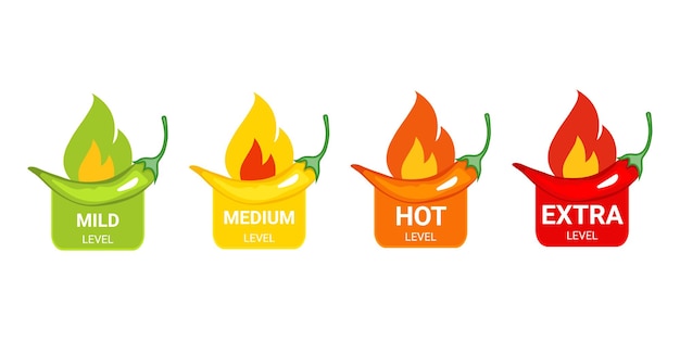 Vector a graphic of different types of hot peppers