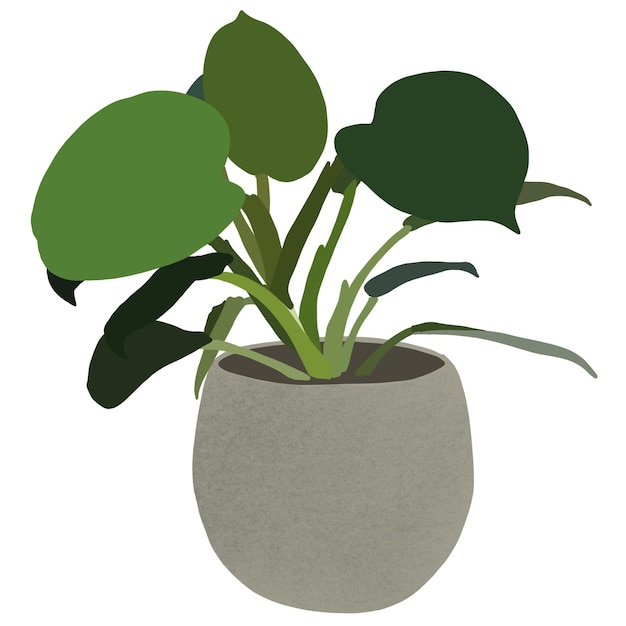 Graphic drawing of a house plant in a pot