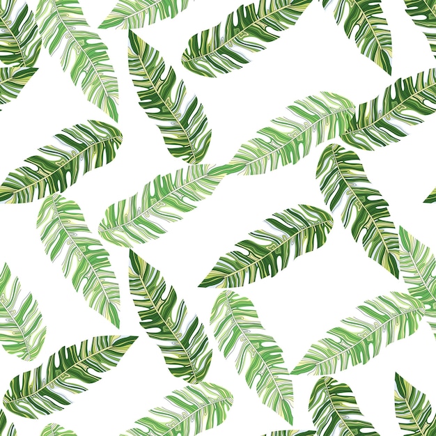 Graphic exotic plant foliage seamless pattern Tropical pattern palm leaves seamless floral background Leaf wallpaper