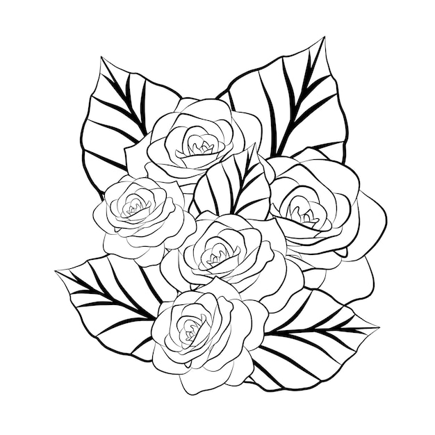 Graphic floral bouquet outline sketch drawing isolated on white vector illustration Flat black contour flowers Art therapy colouring book page template Botany rose flower bloom and leaves