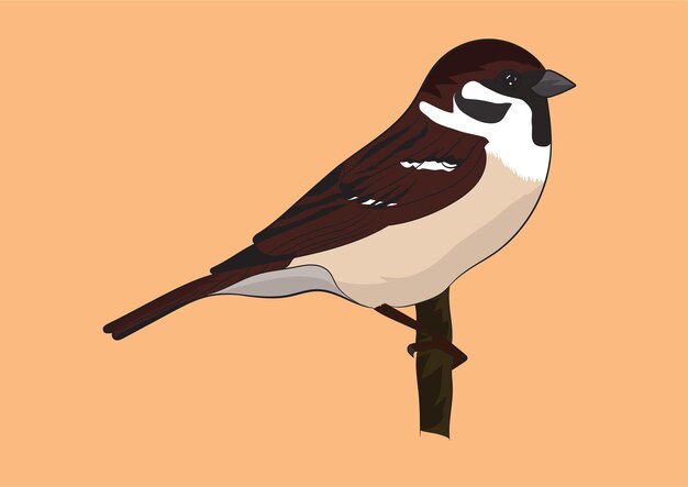 Вектор Графическая иллюстрация птицы-воробья, сидящей на ветке на светло-коричневом фоне