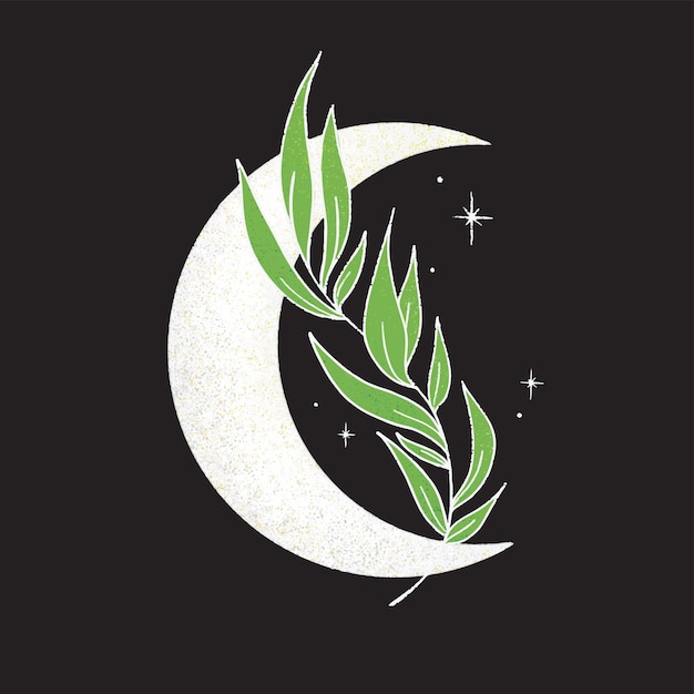 Vector graphic illustration texture art leaf in the moon drawings of stars for clothing etc