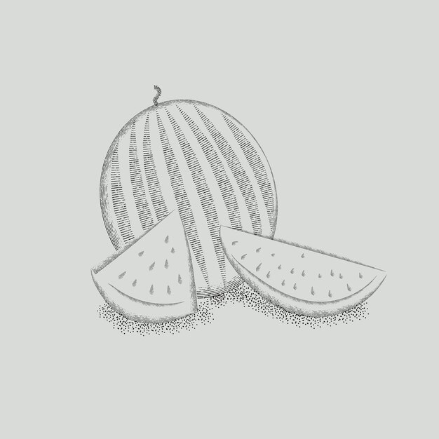 Graphic image of a watermelon vector graphics vintage