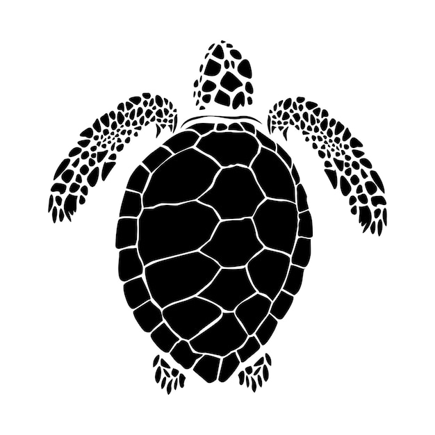 Vector graphic sea turtlevector illustration of sea turtlevector of turtle design on a white background