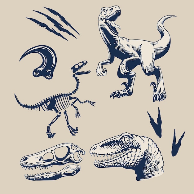 Vector graphic set of raptors isolated vector illustration