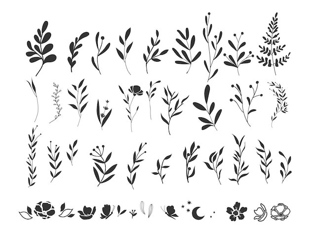 graphic set of twigs and sprigs. Hand drawn silhouette plants