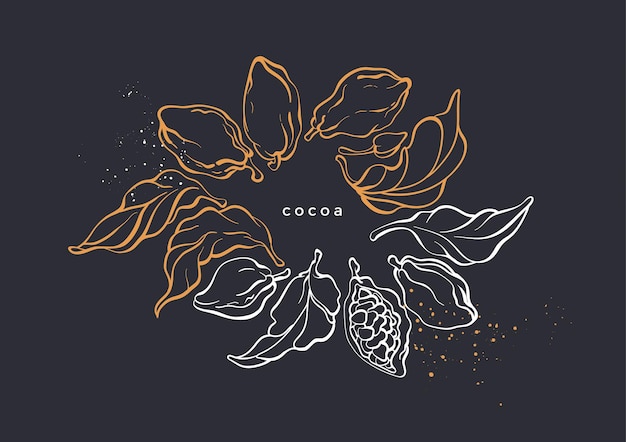 Il simbolo grafico del ramo dell'albero di cacao lascia il fagiolo schizzo disegnato a mano dell'annata design della natura