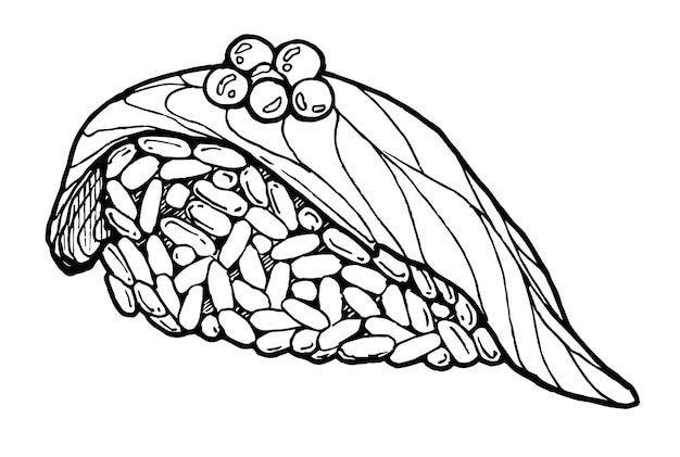 연어와 캐비어를 곁들인 초밥의 그래픽 벡터 흑백 이미지