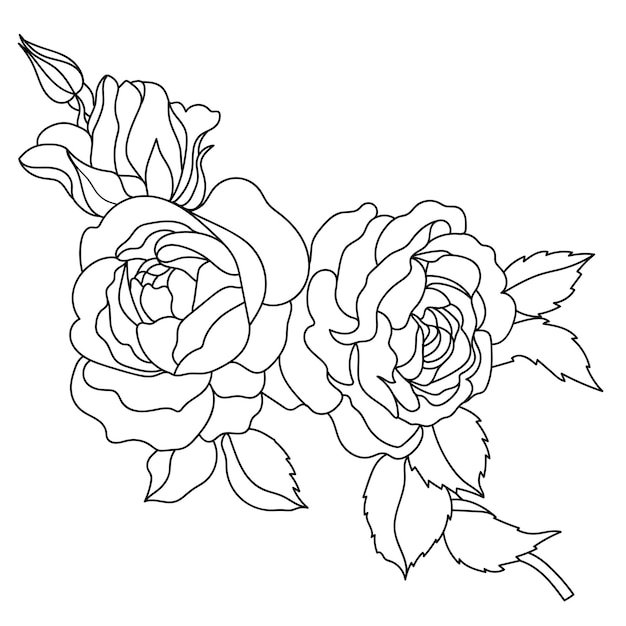 Graphical rose bud illustration Vector