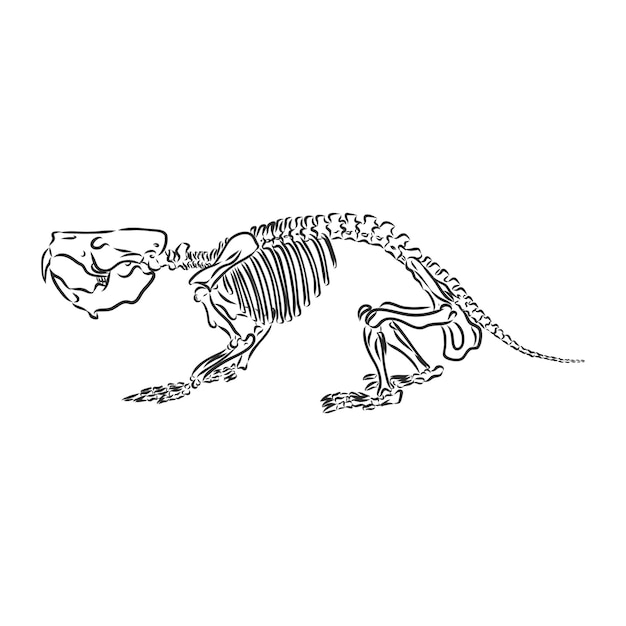 恐竜を印刷するための白いbackgroundvectorイラストで分離されたグラフィカルなトリケラトプス