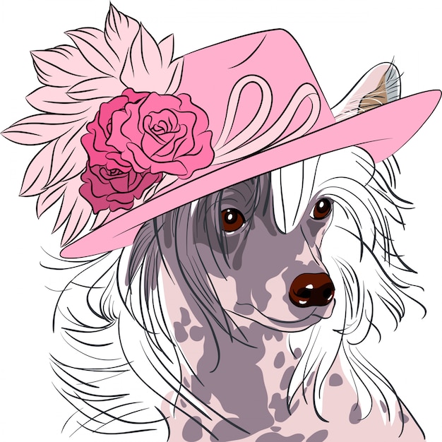 Grappige cartoon hipster hond chinese crested ras