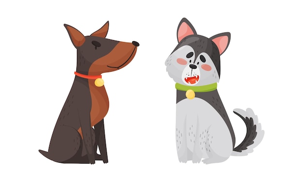 Grappige hond met halsband als viervoetige vriend en huisdier Vector Set