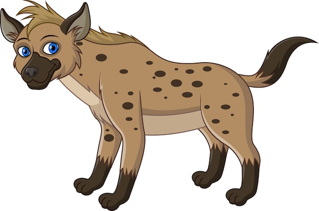 Vector grappige hyena geïsoleerd