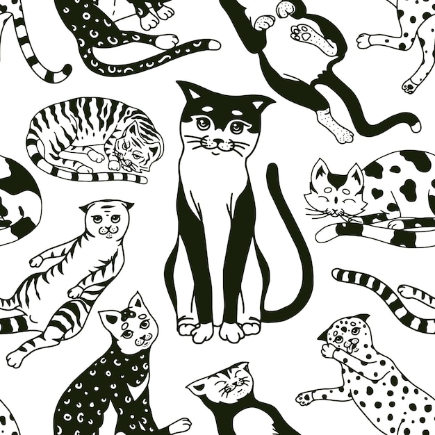 Grappige katten naadloze patroon of achtergrond Leuke grappige binnenlandse kitty poster Slapende dieren Hand getekende gegraveerde schets banner voor stof textiel Vectorillustratie in schets doodle stijl