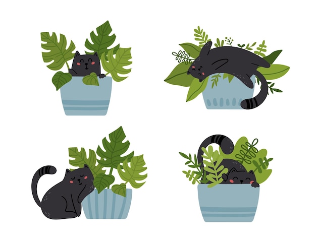 Grappige kitten en huis potplanten set