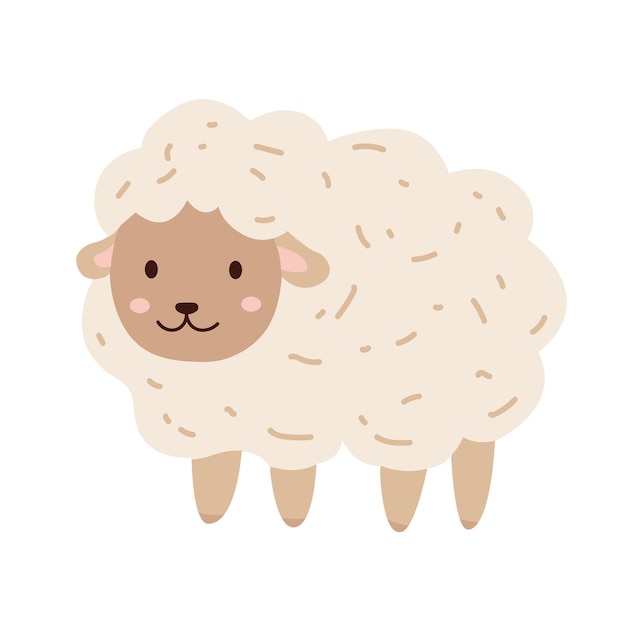 grappige schapen