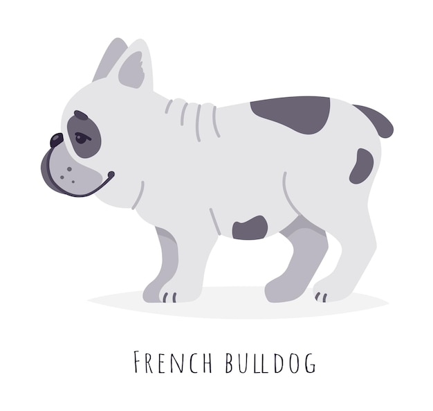 Grappige schattige Franse bulldog pup vlakke stijl illustratie geïsoleerd op een witte achtergrond