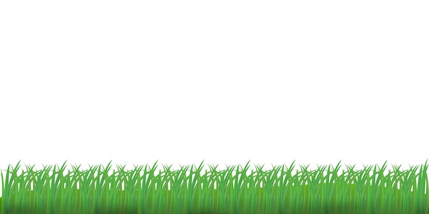 Gras geïsoleerd op een witte achtergrond Vectorillustratie