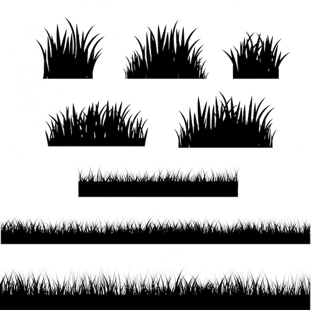 Vector gras grens witte achtergrond