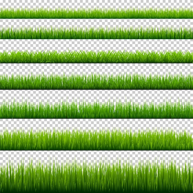 Vector gras grenzen collectie groene weide natuur achtergrond paaskaart ontwerp element vector