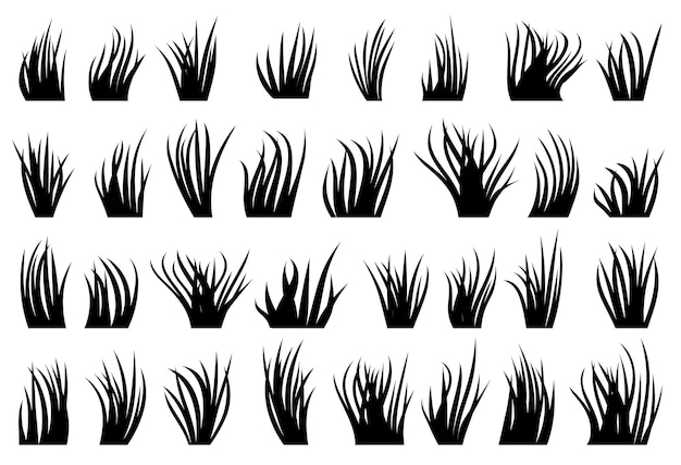 Gras natuurlijk organisch gazon zwart silhouet set Andere vorm eco plant verse struik lente kruidengras op witte achtergrond Contour bio kruid weide Groen verlaat cartoon gebladerte landschap grens