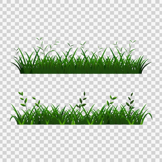 gras op een doorzichtige achtergrond