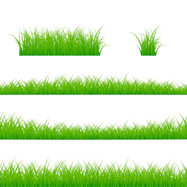 Gras randen instellen. Grasplant Panorama. illustratie op witte achtergrond