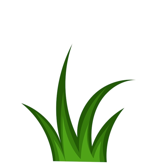 Gras vector png