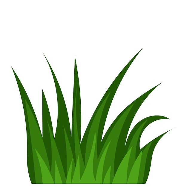 Vector gras vector png