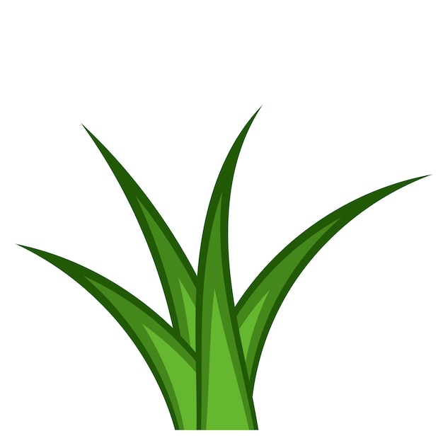 Gras vector png