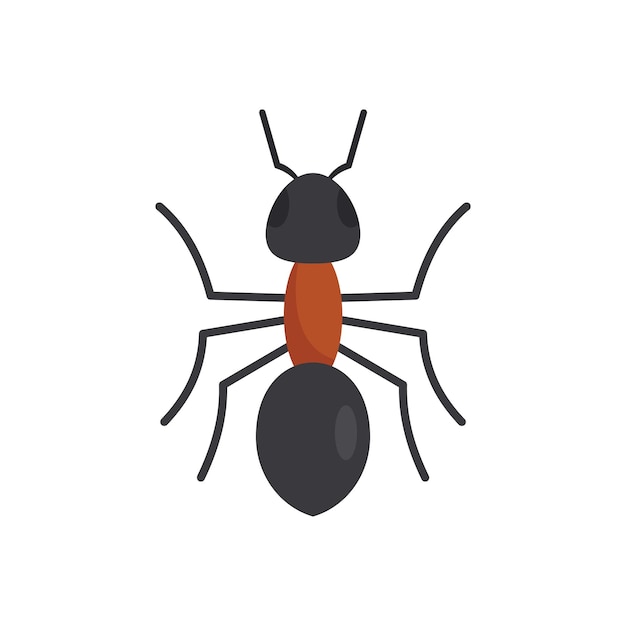 Grass ant icon Flat illustration of Grass ant vector icon for web design isolated