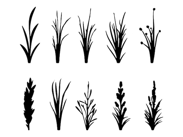 Vector grass black silhouette black grass border silhouettes