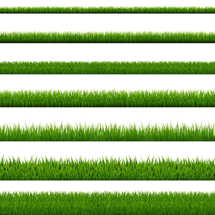 Vector grass border collection  white background