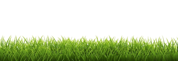 Grass Border geïsoleerde witte achtergrond